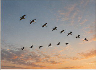 Migrating bird